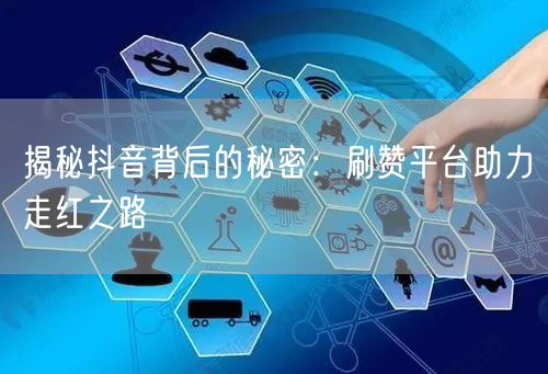 揭秘抖音背后的秘密:刷赞平台助力走红之路