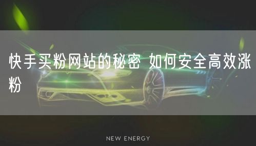 快手买粉网站的秘密 如何安全高效涨粉