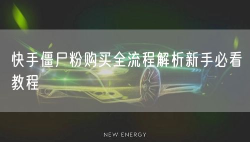 快手僵尸粉购买全流程解析新手必看教程