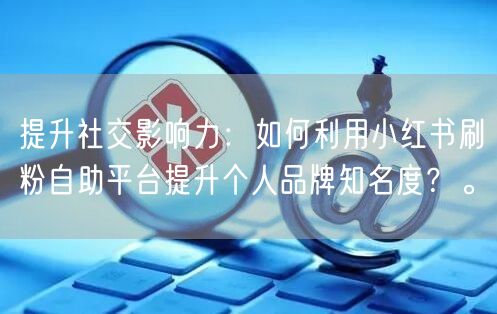 提升社交影响力:如何利用小红书刷粉自助平台提升个人品牌知名度?。
