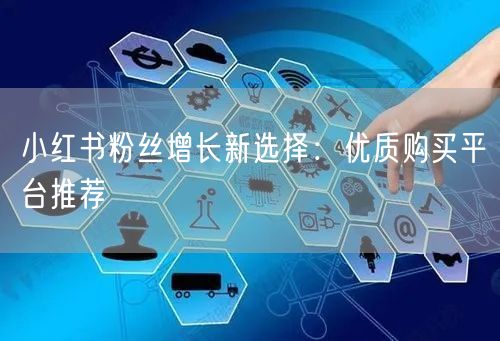 小红书粉丝增长新选择：优质购买平台推荐