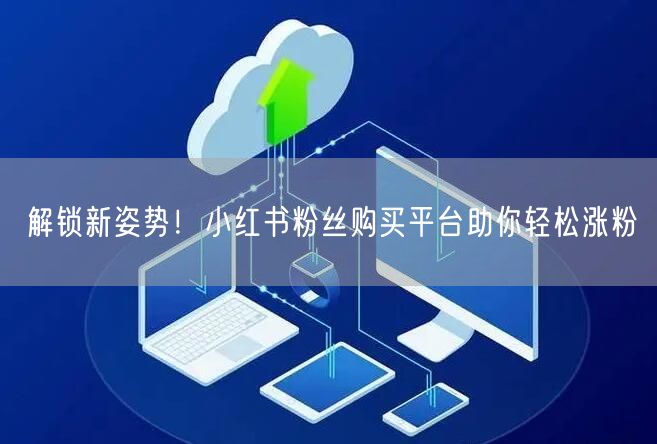 解锁新姿势！小红书粉丝购买平台助你轻松涨粉