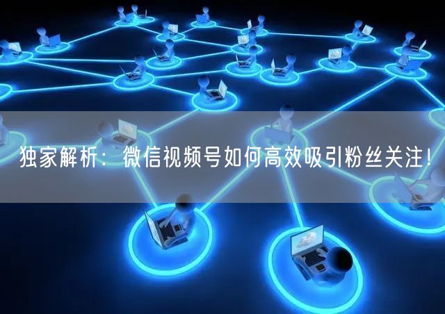 独家解析:微信视频号如何高效吸引粉丝关注!